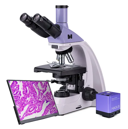 снимка биологичен цифров микроскоп MAGUS Bio D250T LCD