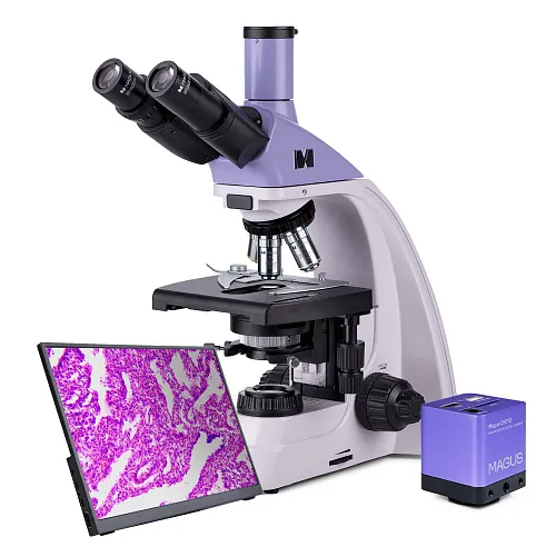 картина биологичен цифров микроскоп MAGUS Bio D250TL LCD