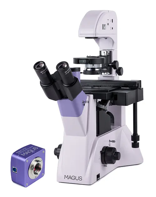 изображение биологичен инвертиран цифров микроскоп MAGUS Bio VD350