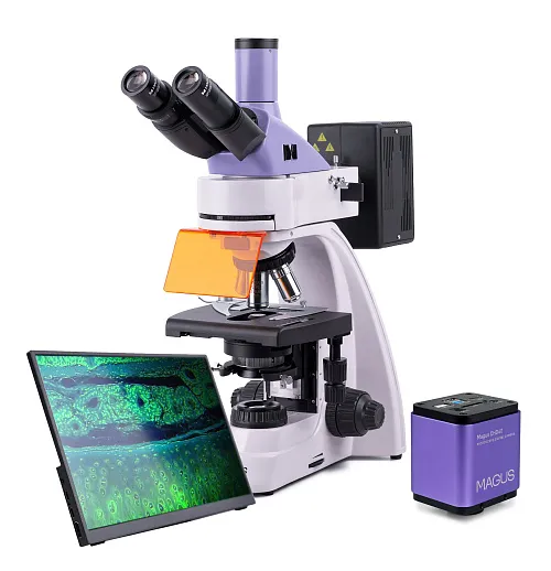 фотография флуоресцентен цифров микроскоп MAGUS Lum D400 LCD