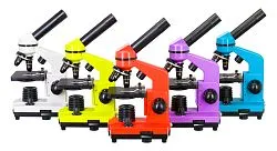 картина микроскоп Levenhuk Rainbow 2L