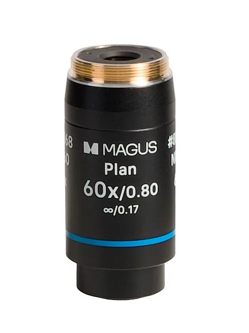 картина обектив MAGUS 60PL60 Plan 60х/0,80 ∞/0,17 H 60 mm,  1