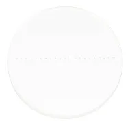 снимка калибрационен образец за стереомикроскопи MAGUS CSS1 (0,1)