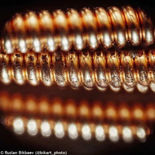 картина микроскоп Levenhuk Rainbow 50L PLUS,  22