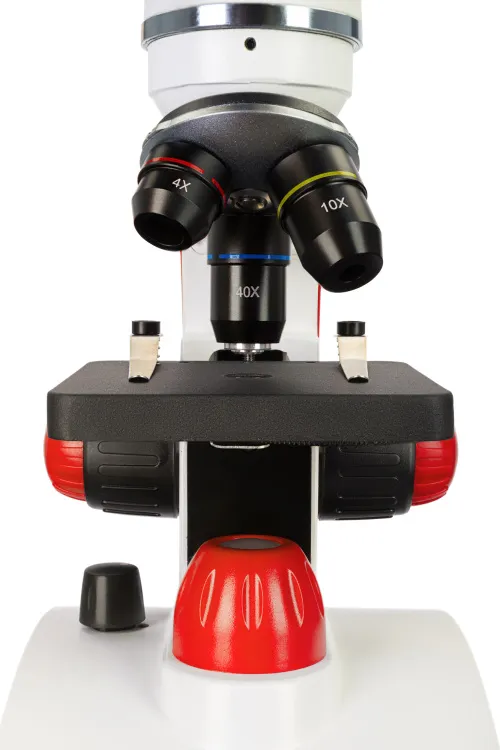 картина микроскоп Levenhuk Discovery Pico,  11