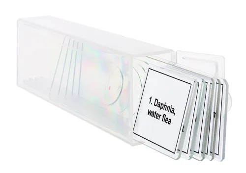 картина набор от микропрепарати Levenhuk Discovery Prof DPS 5. „Живот в капка вода“,  5