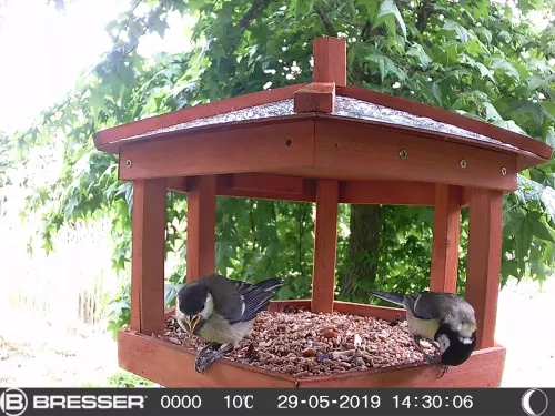 снимка камера 16 MP Bresser 90° за наблюдение на дивата природа,  6