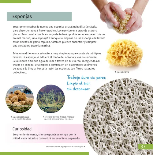 снимка познавателна книга „Космос. Микросвят“, 2 тома,  9