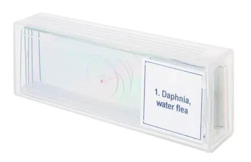 картина набор от микропрепарати Levenhuk Discovery Prof DPS 5. „Живот в капка вода“,  4