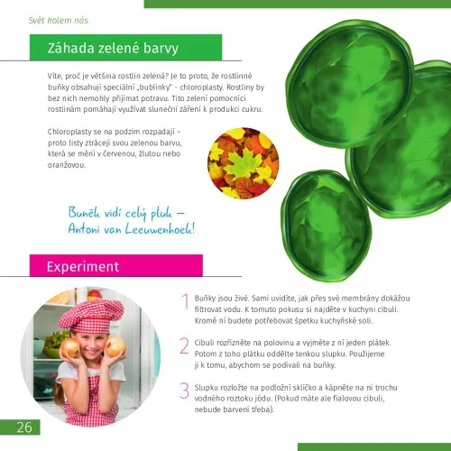 картинка микроскоп Levenhuk Discovery Micro с книга,  7