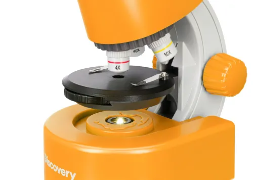 картинка микроскоп Levenhuk Discovery Micro с книга,  13