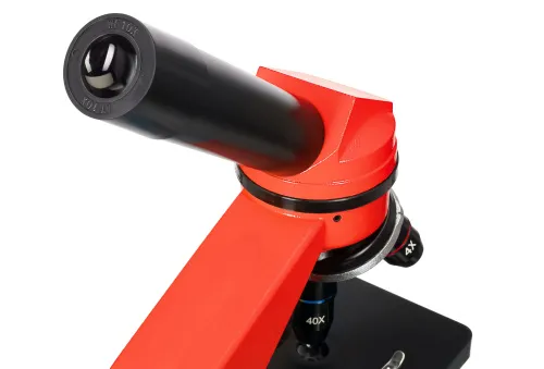 картина микроскоп Levenhuk Rainbow 2L,  8
