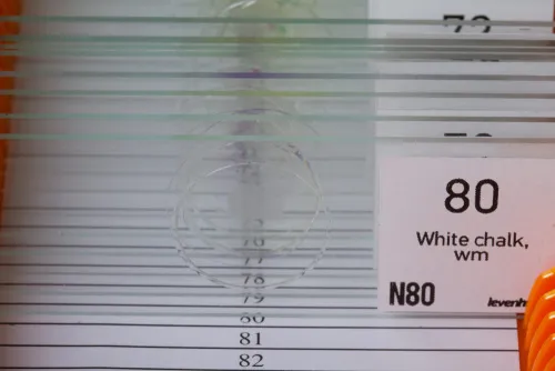 картинка комплект проби „Вижте всичко!“ Levenhuk N80 NG,  4