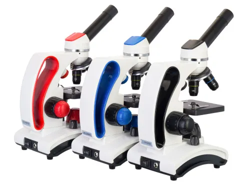 картина микроскоп Levenhuk Discovery Pico,  3