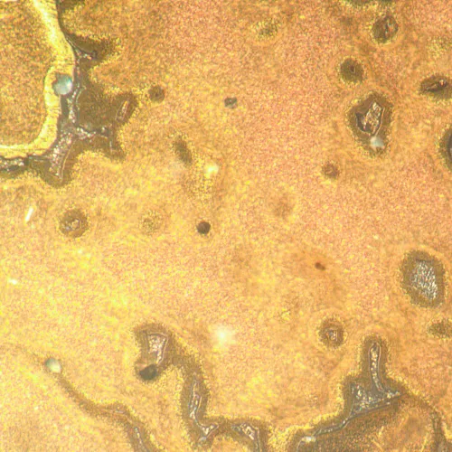 картина металургичен инвертиран микроскоп MAGUS Metal V790 DIC,  21