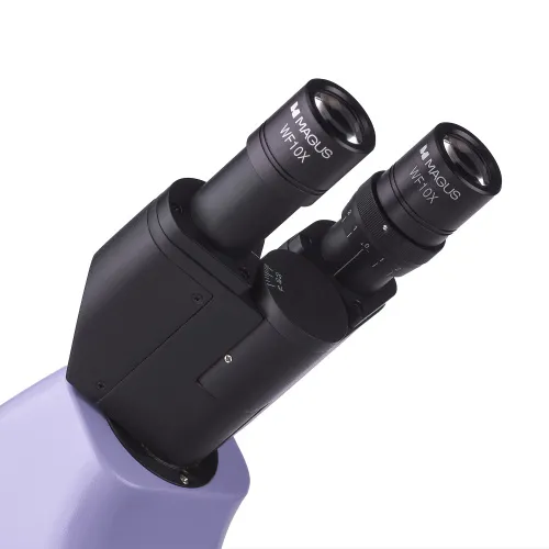 картина биологичен микроскоп MAGUS Bio 230BL,  11