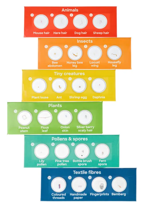 изображение комплект подготвени проби Levenhuk Discovery Flora & Fauna 24,  3