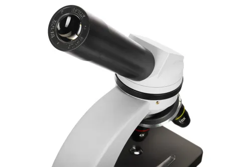 картинка микроскоп Levenhuk Discovery Nano,  10