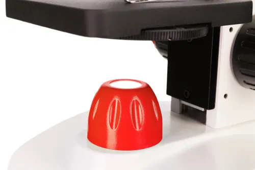 картина микроскоп Levenhuk Discovery Pico,  13
