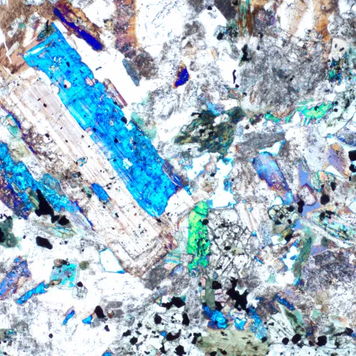 фотография поляризационен цифров микроскоп MAGUS Pol D850 LCD,  25