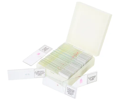 снимка набор от микропрепарати Levenhuk Discovery Prof DPS 25. „Биология, птици и др.“,  5