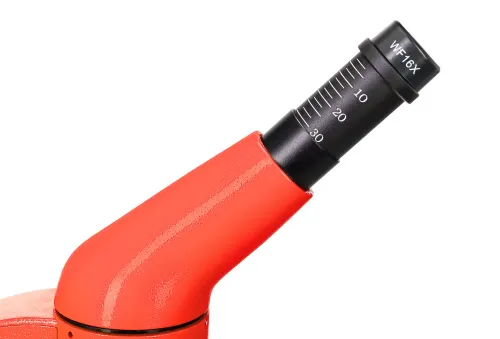 картина микроскоп Levenhuk Rainbow 50L PLUS,  12