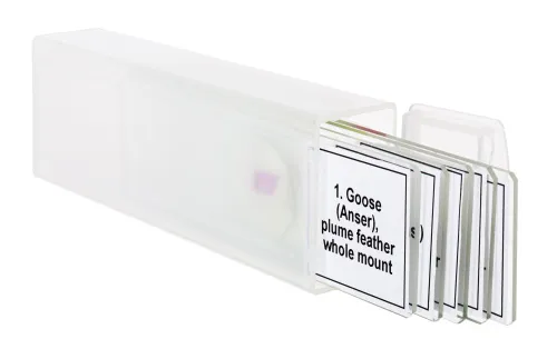 изображение набор от микропрепарати Levenhuk Discovery Prof DPS 5. „Птици“,  5