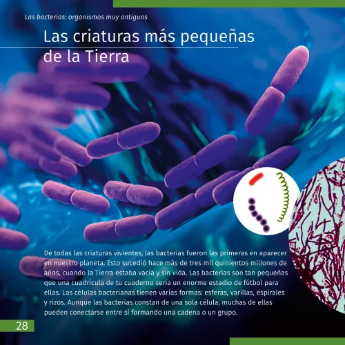 снимка познавателна книга „Космос. Микросвят“, 2 тома,  2