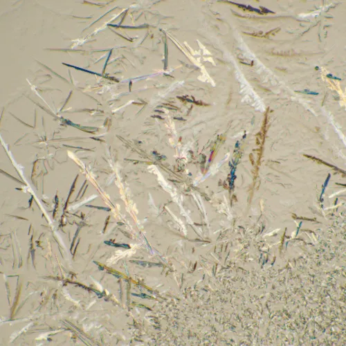 изображение биологичен микроскоп MAGUS Bio 230T,  22