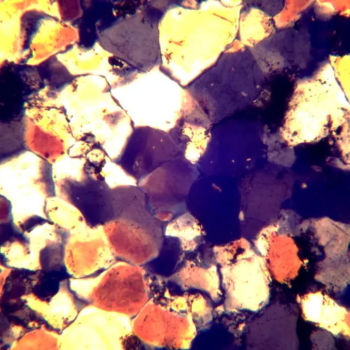 фотография поляризационен цифров микроскоп MAGUS Pol D850 LCD,  28