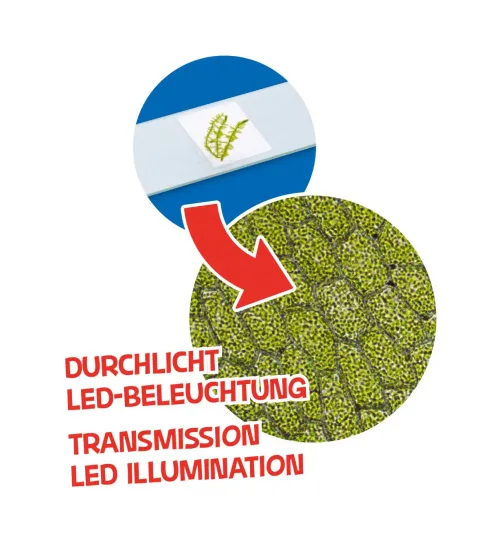 картинка комплект микроскоп и телескоп Bresser Junior,  7