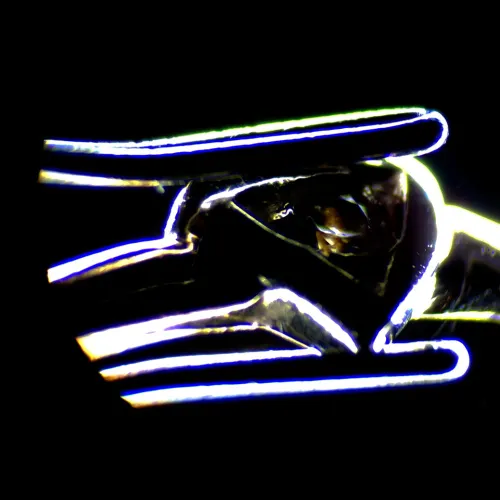 изображение цифров стереомикроскоп MAGUS Stereo D7T PLUS,  22