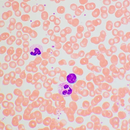 картинка биологичен микроскоп MAGUS Bio 270T,  25