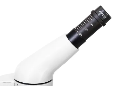 снимка цифров микроскоп Levenhuk Rainbow D50L PLUS 2M, Moonstone (Лунен камък),  10