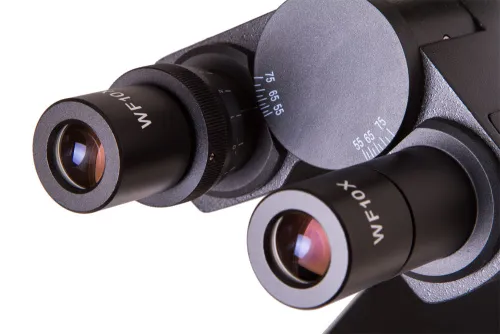 изображение микроскоп Bresser BioScience Trino,  6