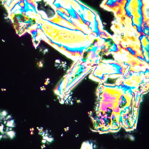 фотография поляризационен микроскоп MAGUS Pol 890,  25