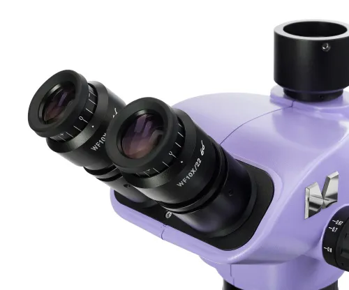 картина глава на микроскоп MAGUS Stereo 7TH,  5