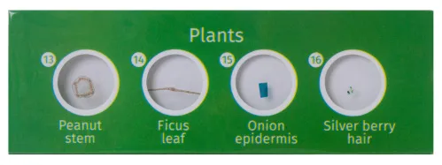 фотография комплект подготвени проби от живи същества и растения Levenhuk LabZZ CP24,  5