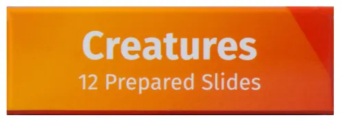 фотография комплект подготвени проби от живи същества Levenhuk LabZZ C12,  8