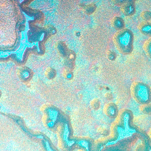 картина металургичен инвертиран микроскоп MAGUS Metal V790 DIC,  20