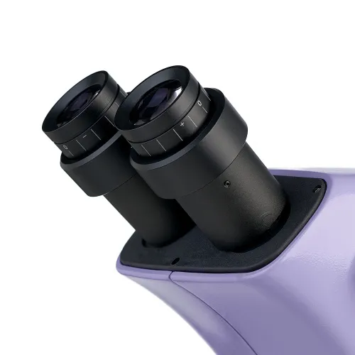 картина стереомикроскоп MAGUS Stereo 9T,  12