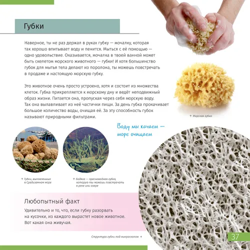 изображение познавателна книга „Невидимият свят“,  7