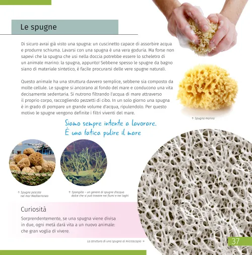 снимка познавателна книга „Космос. Микросвят“, 2 тома,  8