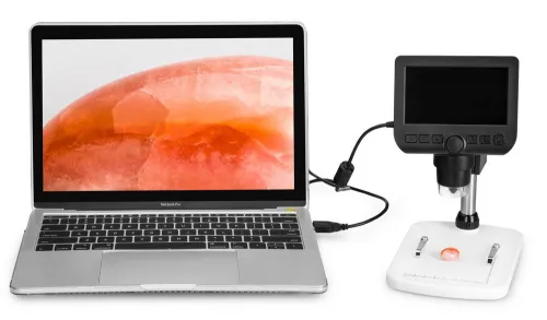 картина цифров микроскоп Levenhuk DTX 350 LCD,  14