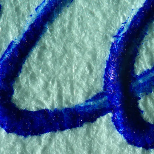 изображение стереомикроскоп MAGUS Stereo A10,  19