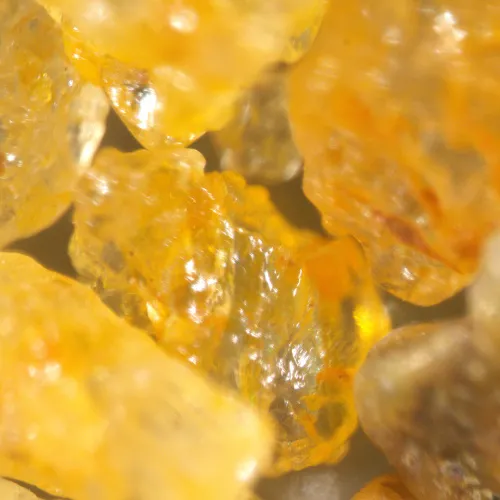 фотография стереомикроскоп MAGUS Stereo A18T,  7