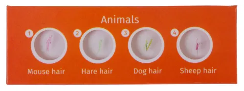 фотография комплект подготвени проби от живи същества Levenhuk LabZZ C12,  2