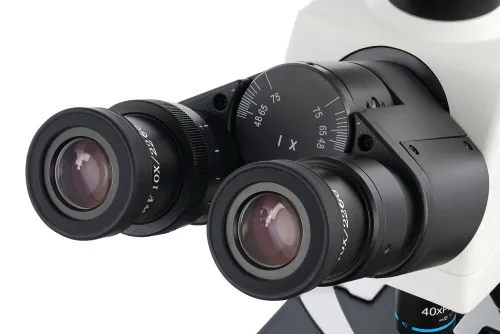 фотография цифров тринокулярен микроскоп Levenhuk MED D45T,  8