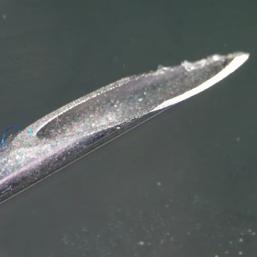 снимка цифров стереомикроскоп MAGUS Stereo D9T,  26