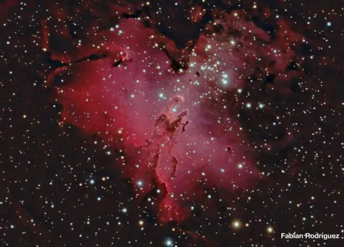 изображение meade LX850 12" F/8 ACF OTA,  6